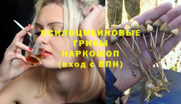 ALPHA-PVP Бородино