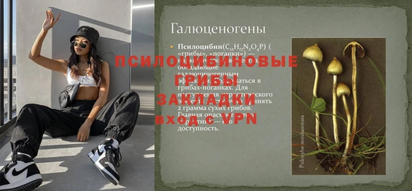 спиды Верея