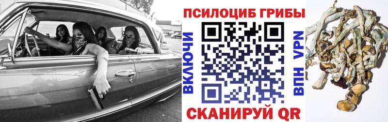 MEGA зеркало  Нестеровская  Галлюциногенные грибы Psilocybine cubensis 